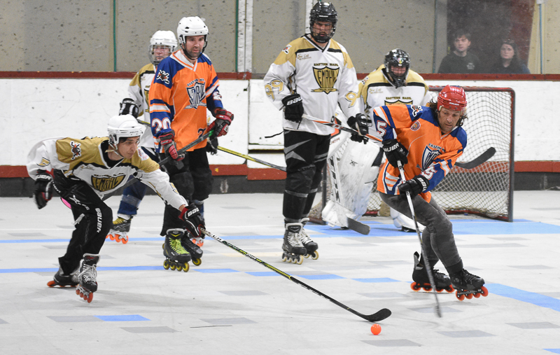 Roller Hockey Leagues Buffalo Ny at Paul Hart blog
